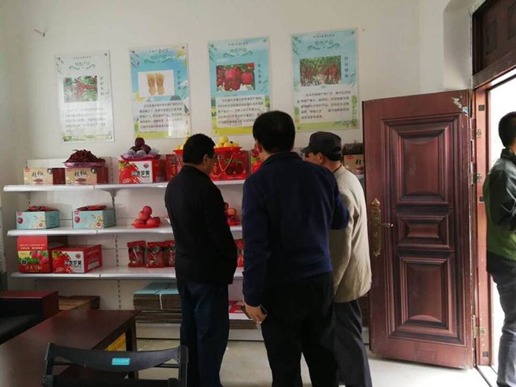 1540539569946804.jpg 蘭州綜合布線|蘭州弱電工程|蘭州安防監(jiān)控|蘭州網(wǎng)絡(luò)工程|蘭州IT服務(wù)外包